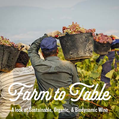 Register for Farm to Table: A look at Sustainable, Organic & Biodynamic Wine on Eventbrite