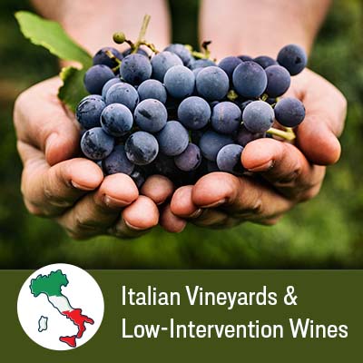 Register for Italian Vineyards and Low-Intervention Wines on Eventbrite