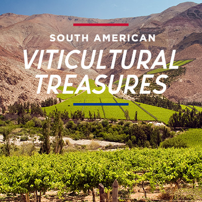 Register for South America's Viticultural Treasures on Eventbrite