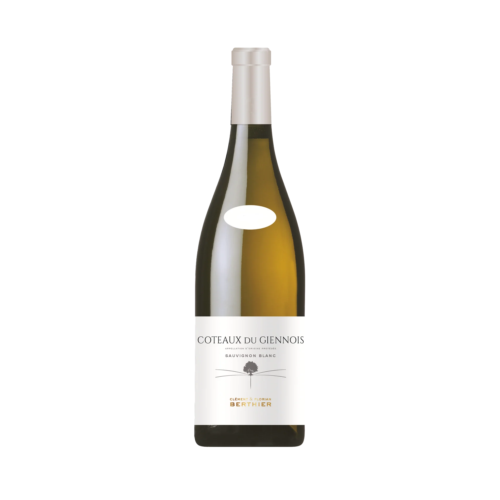 Clement & Florian Berthier Coteaux du Giennois Blanc