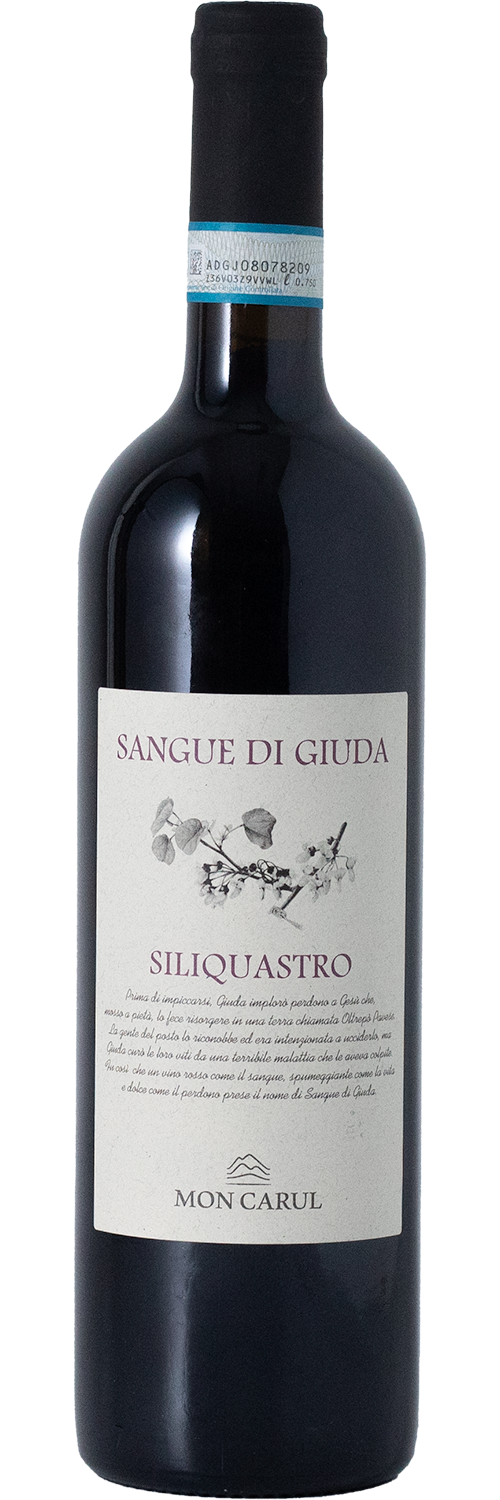 Calatroni 'Siliquastro' Sangue di Giuda