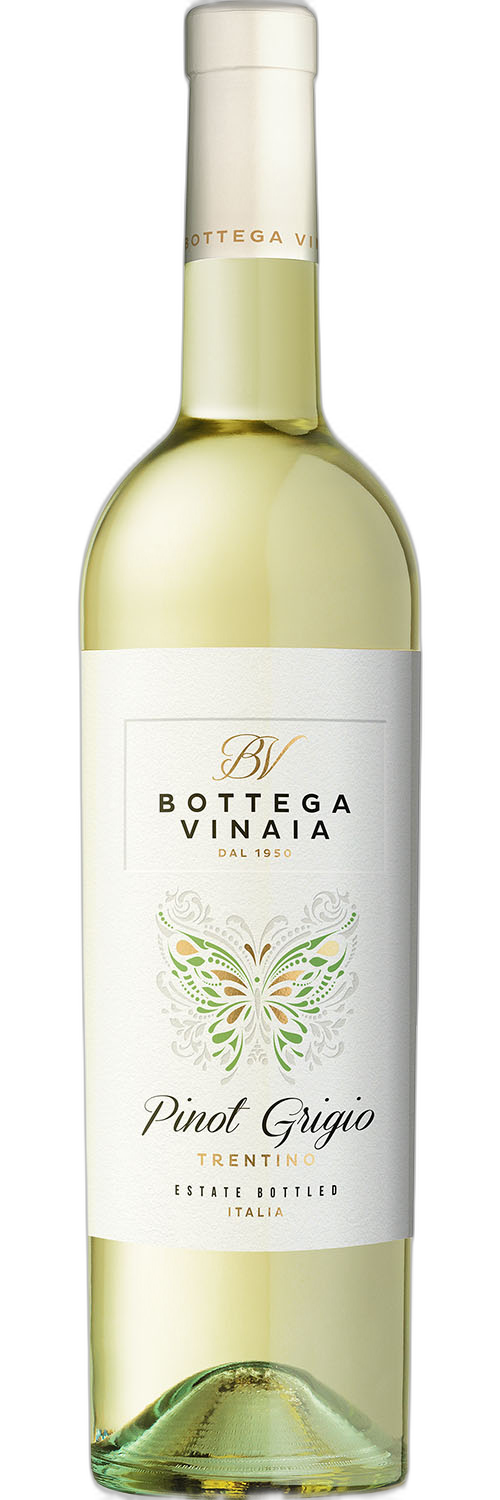 Bottega Vinaia Pinot Grigio