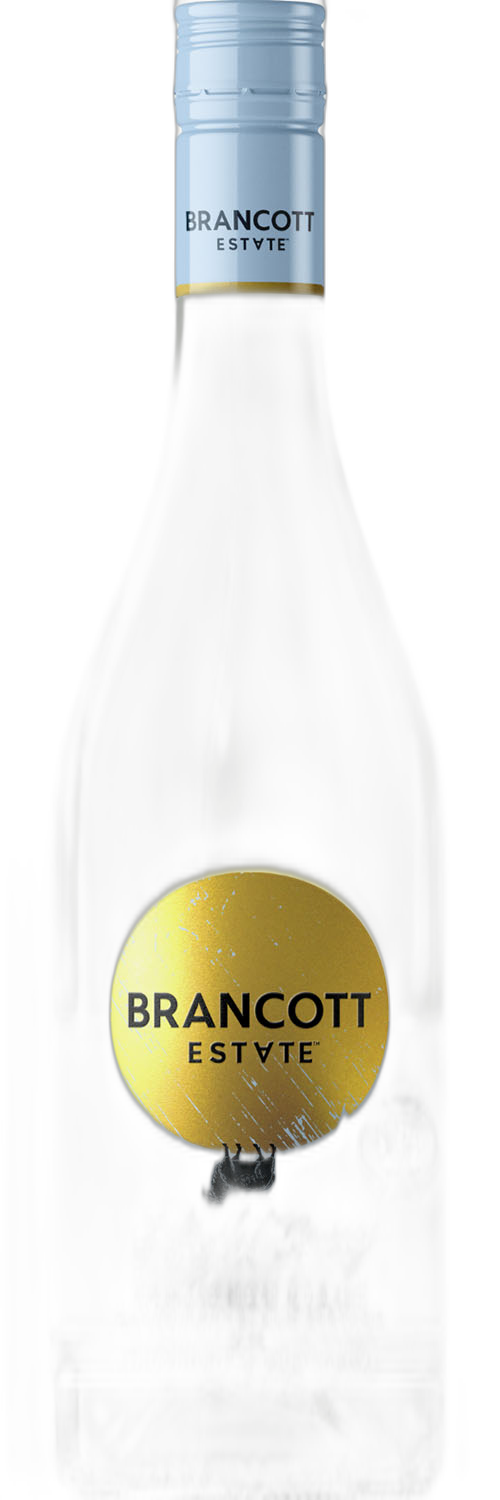 Brancott Estate Flight Song Sauvignon Blanc