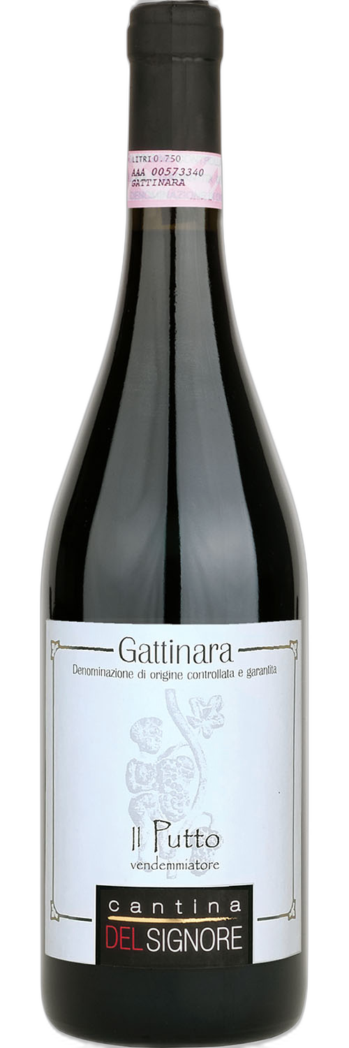 Cantina Delsignore Il Putto