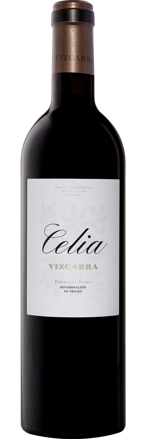 Celia Vizcarra