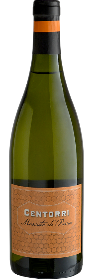 Centorri Moscato di Pavia