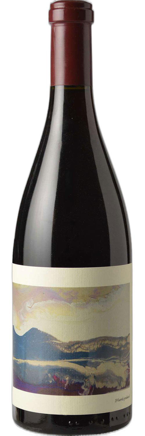 Chanin Bien Nacido Vineyard Pinot Noir