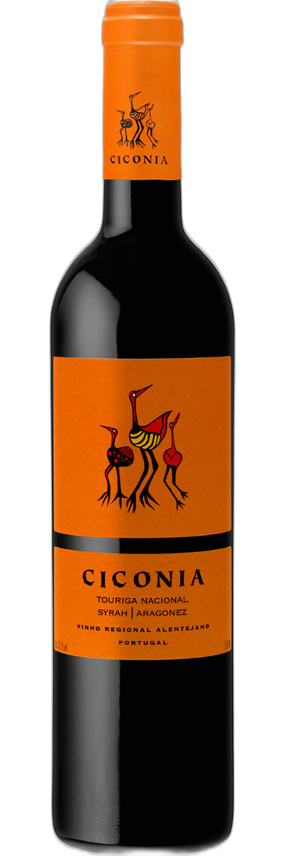 Ciconia