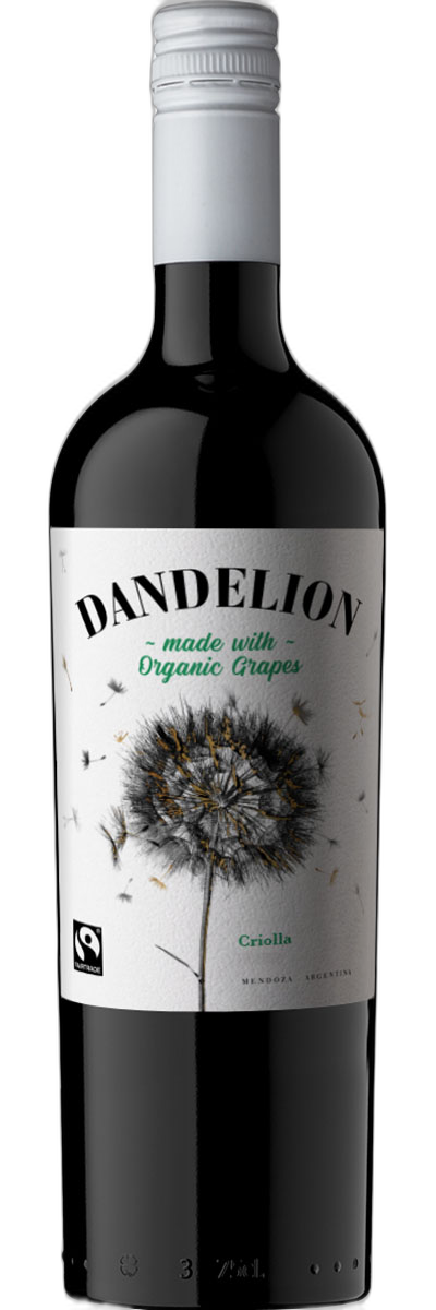 Dandelion Criolla