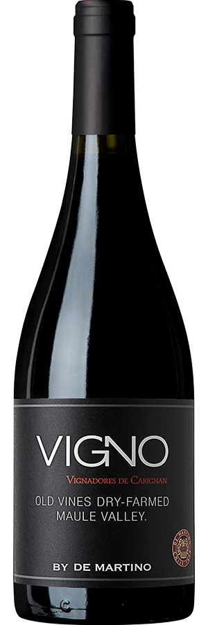 Vigno by De Martino