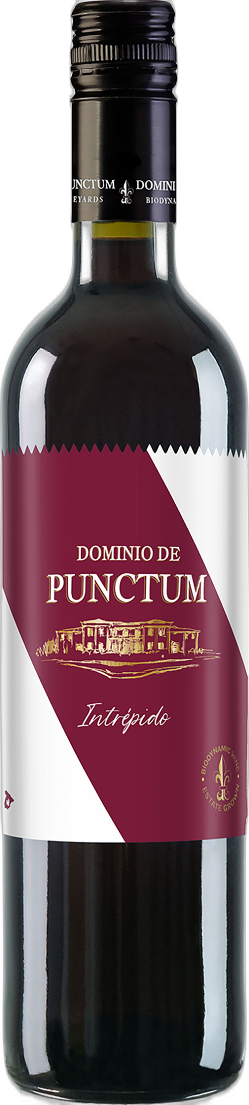 Dominio de Punctum Intrépido
