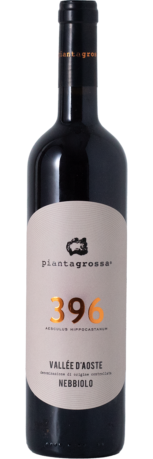 Pianta Grossa 396 