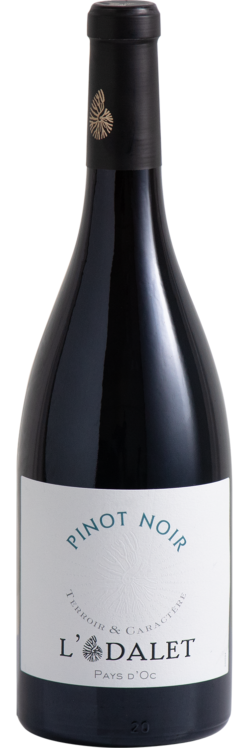 L'Odalet Pinot Noir
