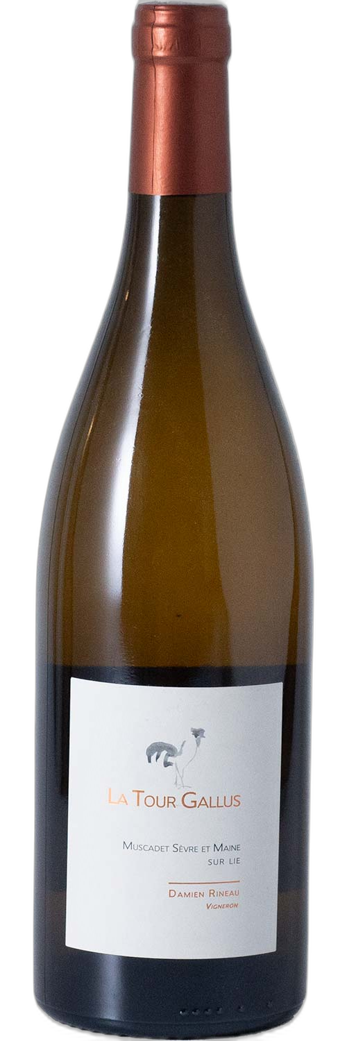 La Tour Gallus Muscadet Sèvre et Maine Sur Lie