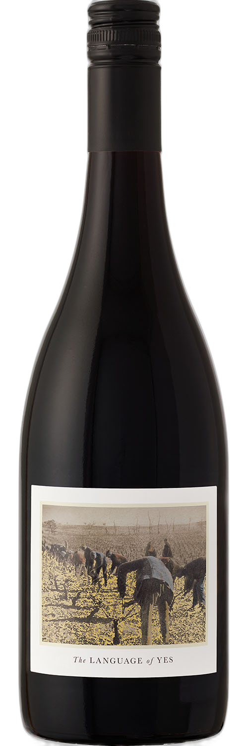The Language of Yes Grenache Rancho Réal Vineyard