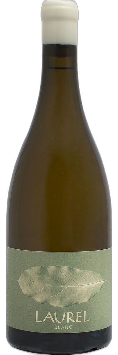 Laurel Blanc