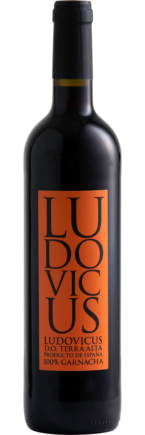 Ludovicus Tinto
