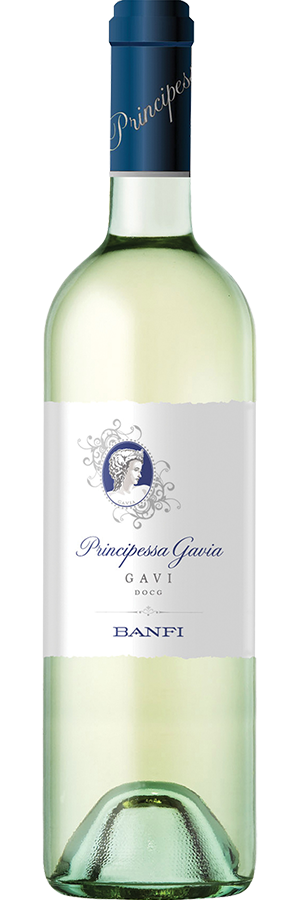 Principessa Gavia Gavi