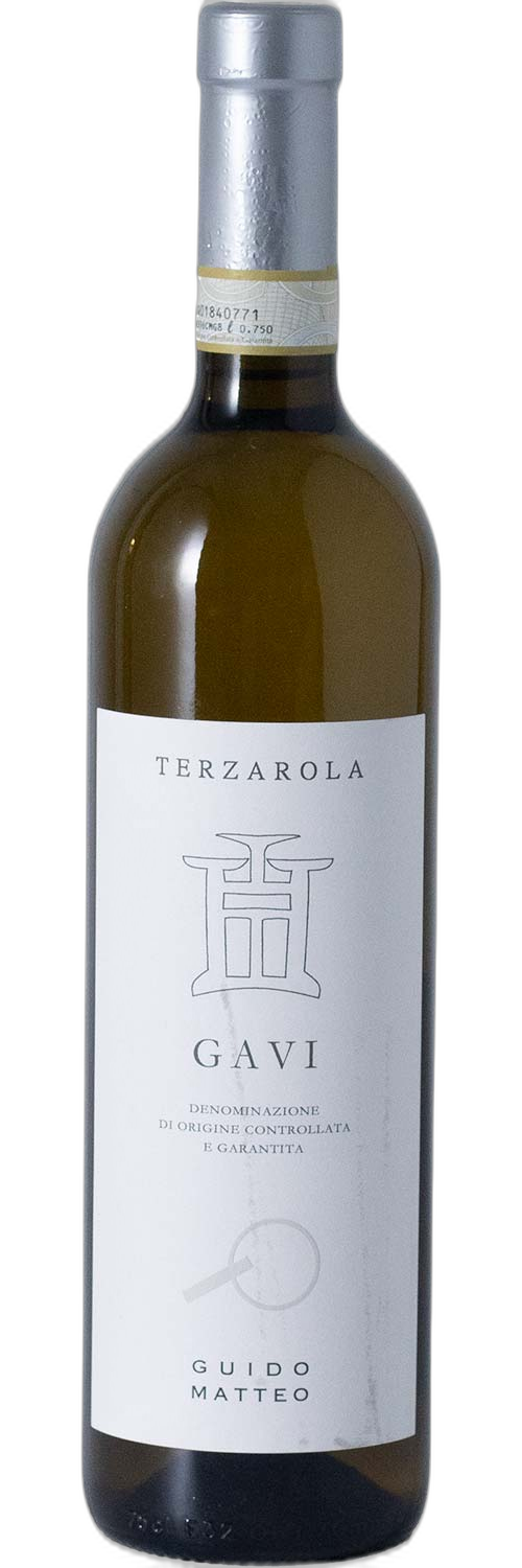 Guido Matteo Terzarola Gavi