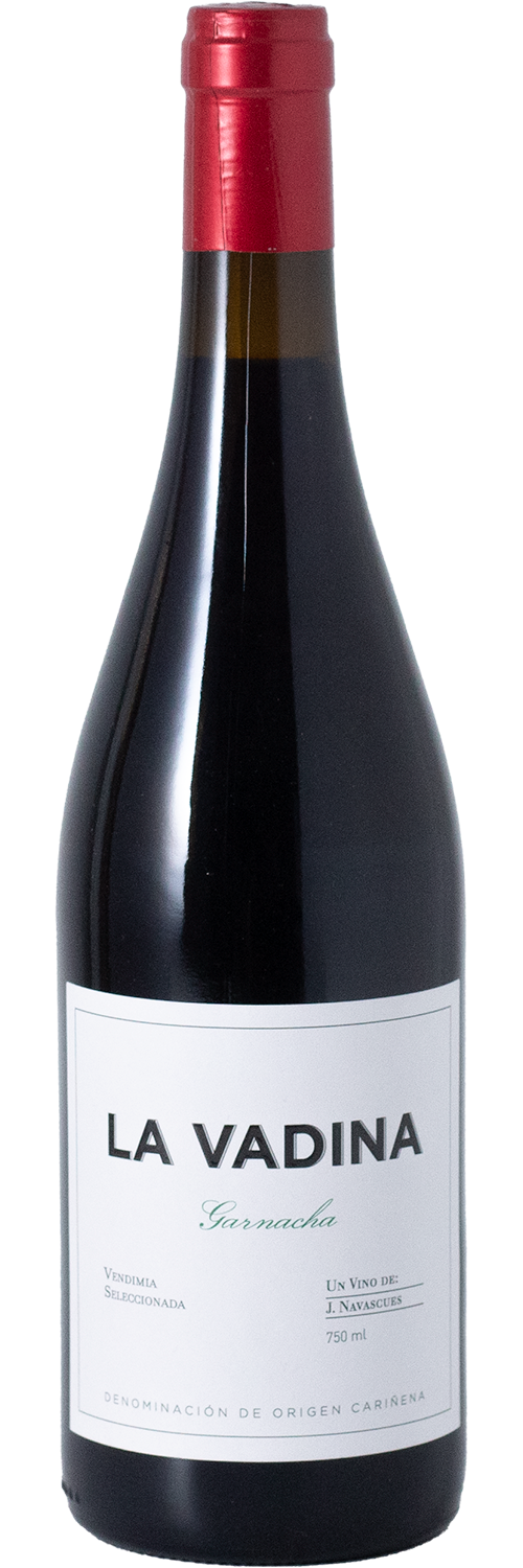 J. Navascues La Vadina Red Wine