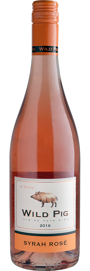 Wild Pig Syrah Rosé