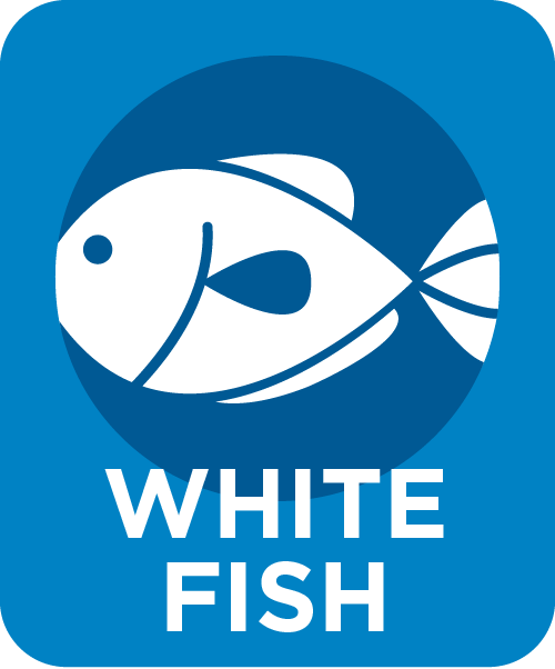 Fish (Whitefish)